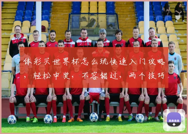 体彩买世界杯怎么玩快速入门攻略，轻松中奖，不容错过，两个技巧分享