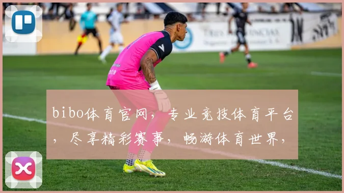 bibo体育官网，专业竞技体育平台，尽享精彩赛事，畅游体育世界，一站式体验