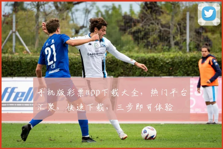 手机版彩票app下载大全，热门平台汇聚，快速下载，三步即可体验