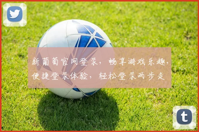 新葡萄官网登录，畅享游戏乐趣，便捷登录体验，轻松登录两步走