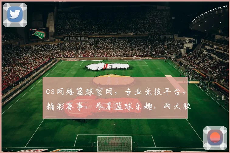 es网络篮球官网，专业竞技平台，精彩赛事，尽享篮球乐趣，两大联赛，激情对决，不容错过